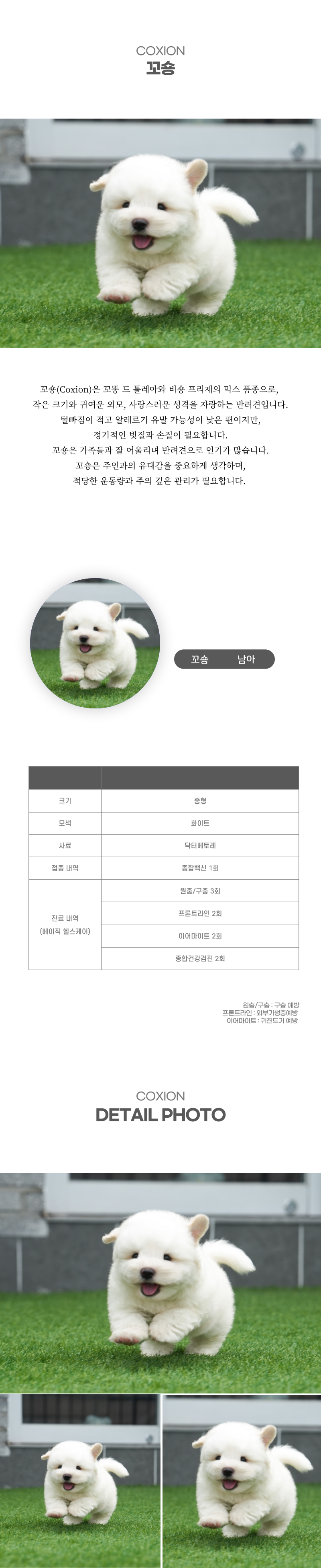꼬숑_상세이미지_2