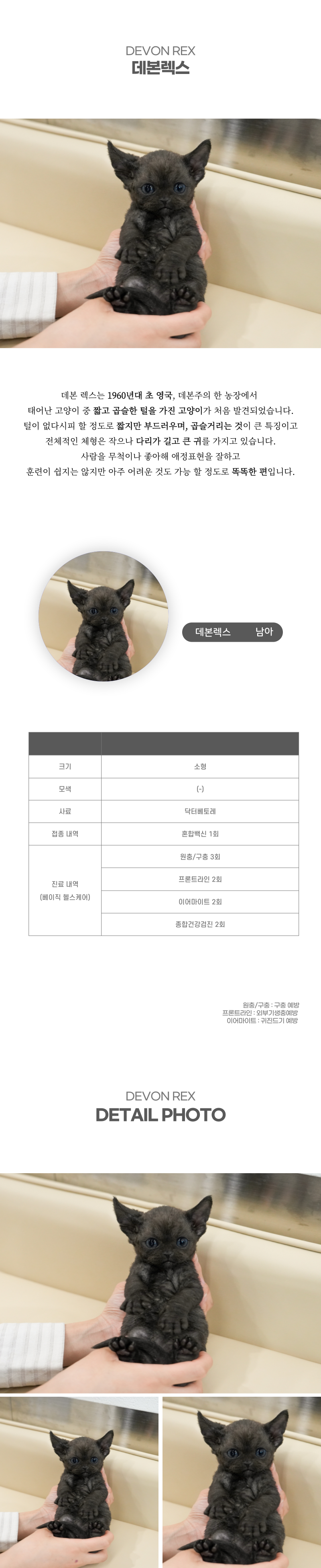 데본렉스_상세이미지_2