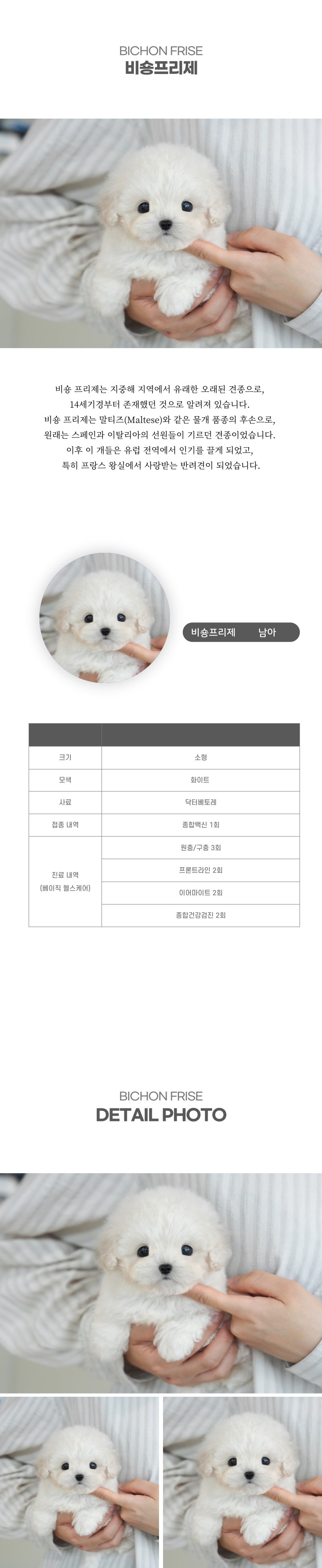 미니비숑_상세이미지_2