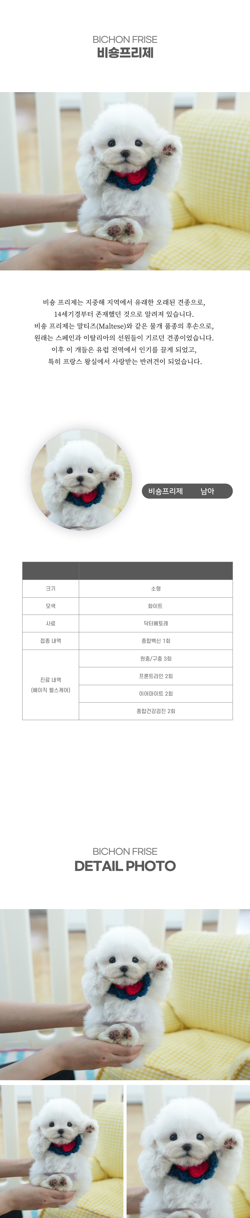 미니비숑_상세이미지_2