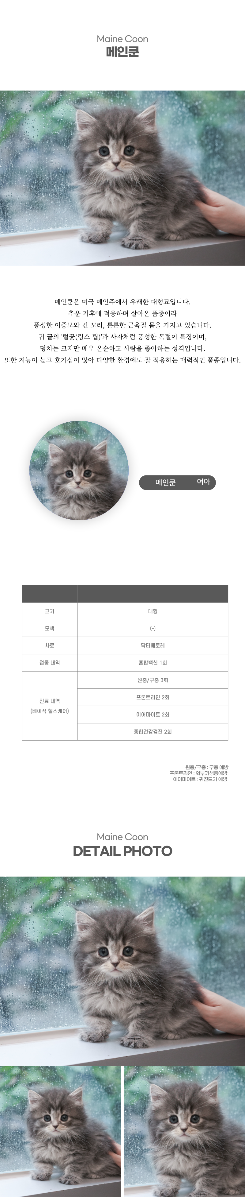메인쿤_상세이미지_2