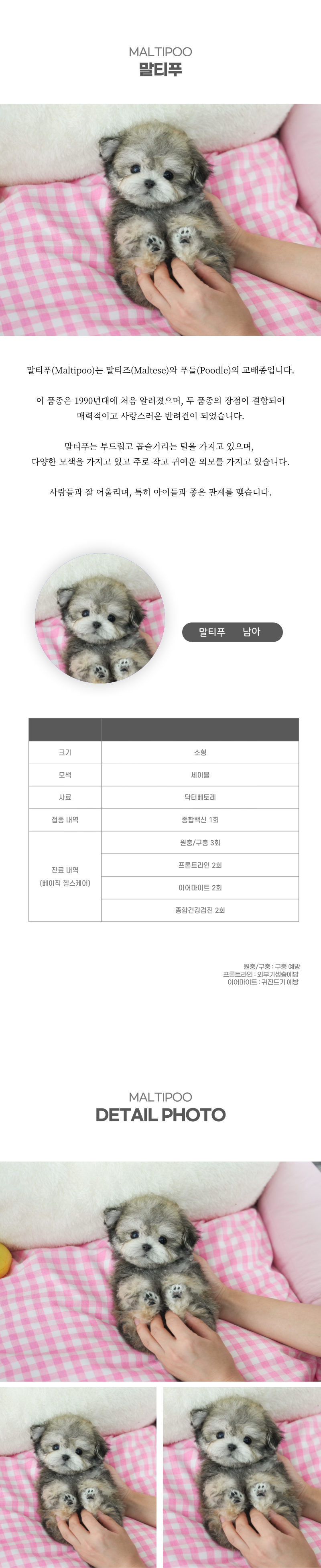 말티푸_상세이미지_2