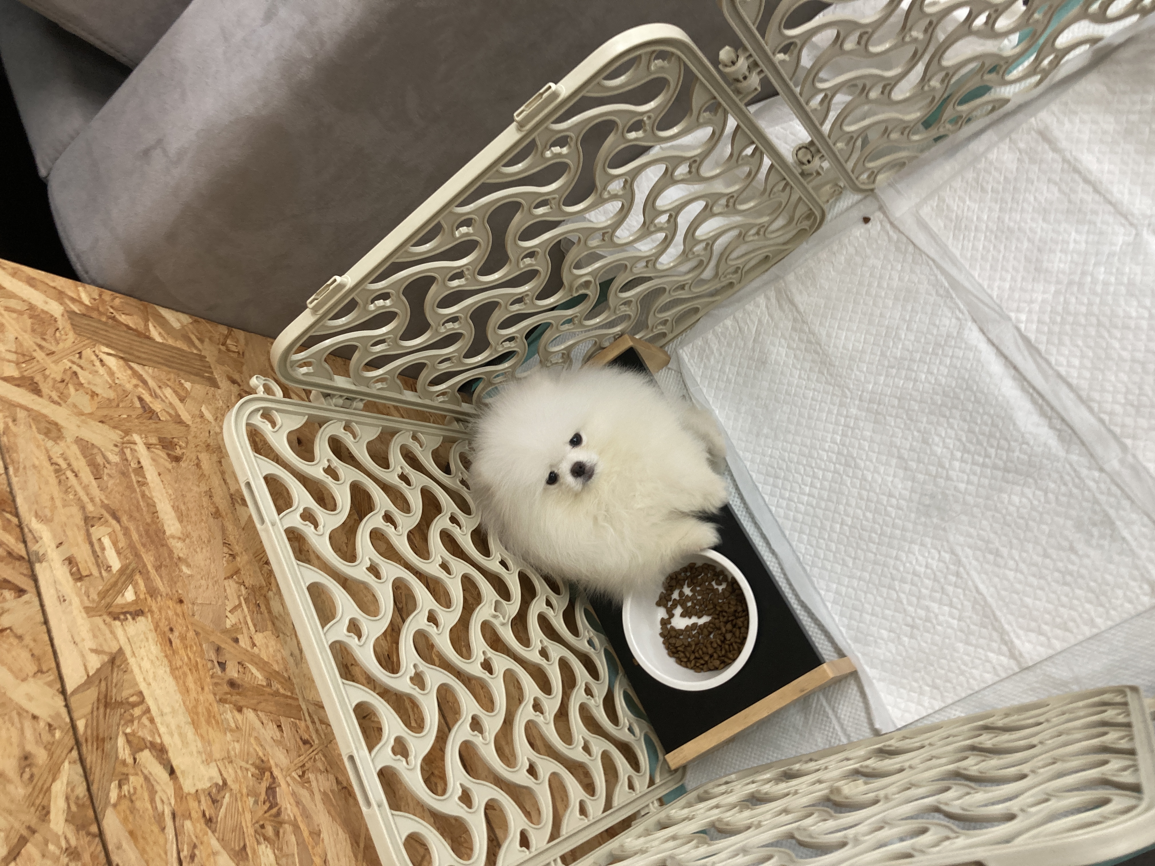 꾸리 보호자_상세페이지_1