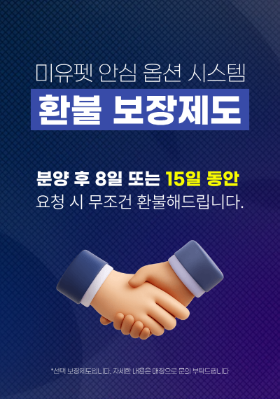 미유펫서울_팝업_3