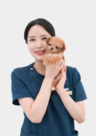 미유펫서울_수의테크니션2