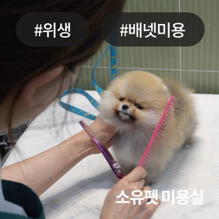 미유펫서울_회사소개_섹션_1_3