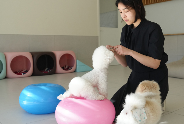 미유펫서울_유치원호텔_섹션1_2