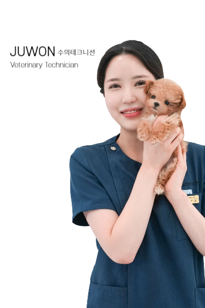 미유펫_서울_병원_수의테크니션