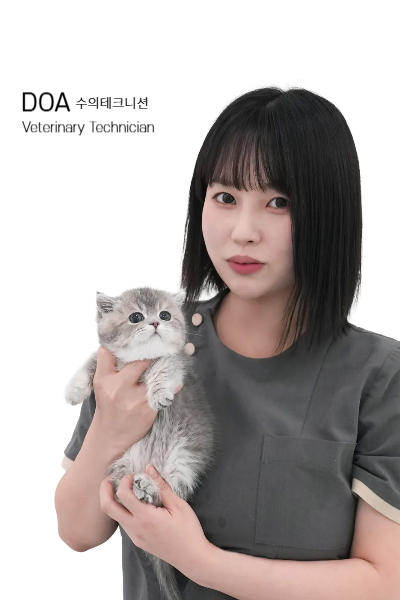 미유펫_서울_병원_수의테크니션