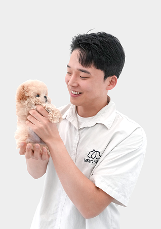 미유펫서울_펫플래너2