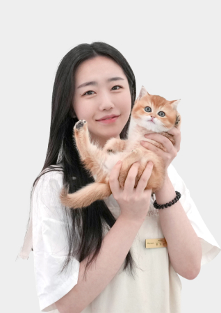 미유펫서울_펫플래너3