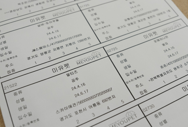 미유펫서울_분양정보_섹션2_3