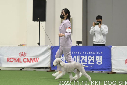 미유펫서울_미용실_섹션2_2