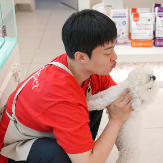 미유펫서울_분위기8